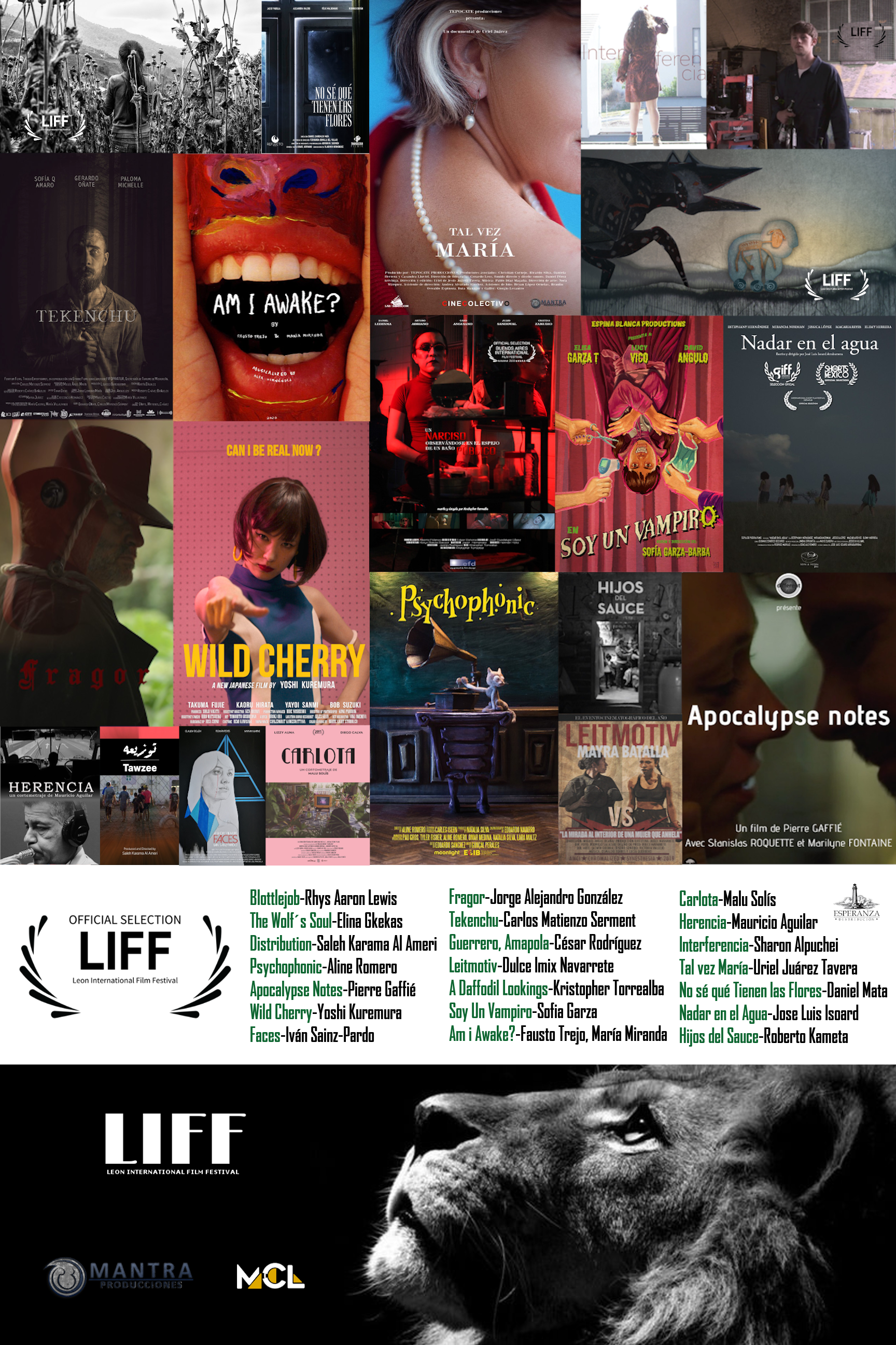 CARTEL lIFF 2